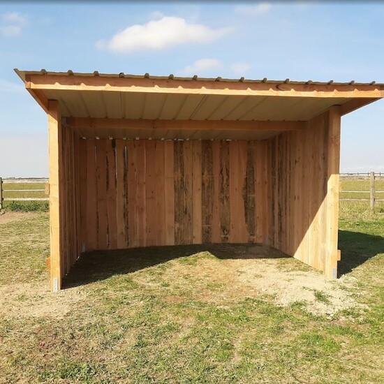 Image2