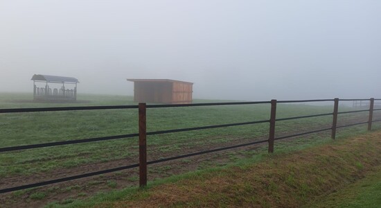 Venez observer cette magnifique clôture en bois de châtaignier foncé, esthétique et résistante à l’épreuve du temps.