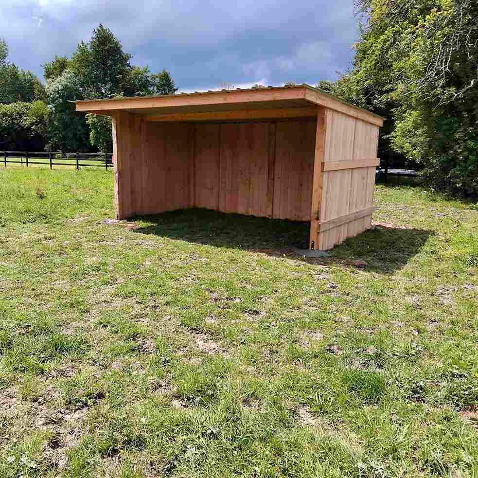 Abri à bardage, vue de près de son profil gauche, avec une clôture en bois en arrière-plan.