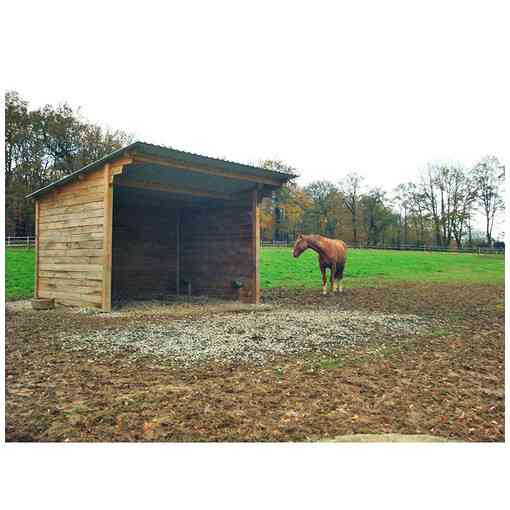 Abri pour chevaux à clins en bois, vu à mi-distance, de profil, avec un cheval devant l’abri.