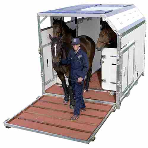 Box pour transport aérien, monté avec un cavalier et chargé avec trois chevaux.