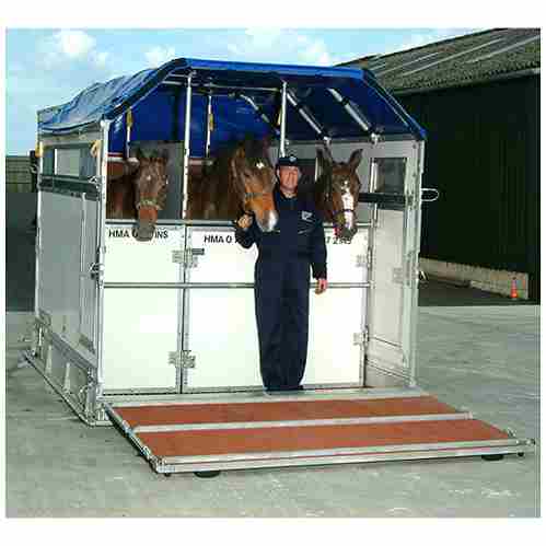 Box pour transport aérien, monté, avec un cavalier à pied et chargé avec trois chevaux.