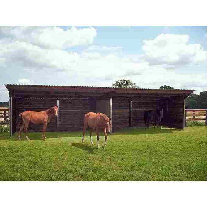 Grand abri pour chevaux avec séparation, vue de face, avec des chevaux à l'intérieur.