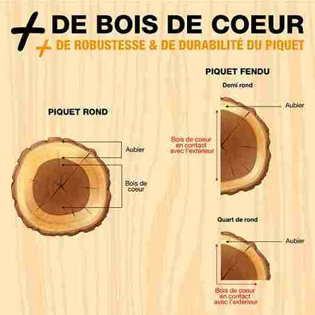 Schéma expliquant la coupe des piquets sciés en châtaignier à partir du bois de cœur.