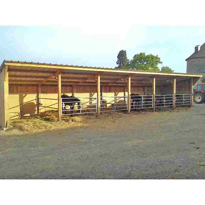 Stalles pour chevaux à panneaux, sans cloison avec auvent occupées par des chevaux et vues de face.