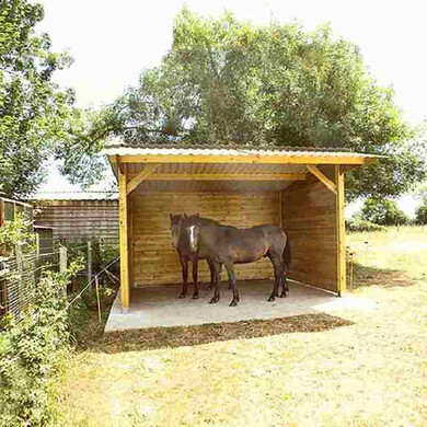Abri chevaux à panneaux, avec toit double pente, sur une dalle en béton, avec deux chevaux dessus.