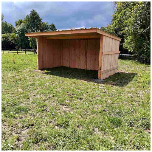 Abri à bardage, vue de près de son profil gauche, avec une clôture en bois en arrière-plan.