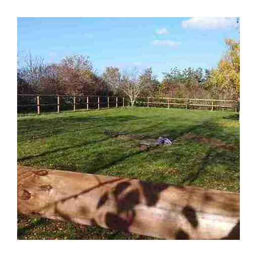 Vue sur un terrain verdoyant de forme rectangulaire, entouré d’une clôture à deux lisses rondes en bois.