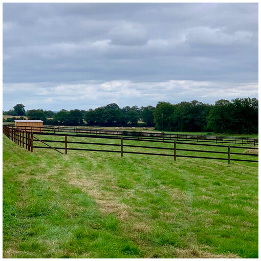cloture pour chevaux en bande de polyéthylène noir hsw3 abrivert