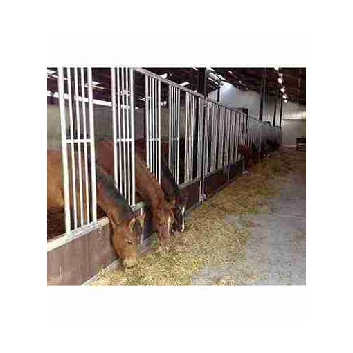 Porte de box battante pour façade, spéciale poulain, avec plusieurs chevaux.