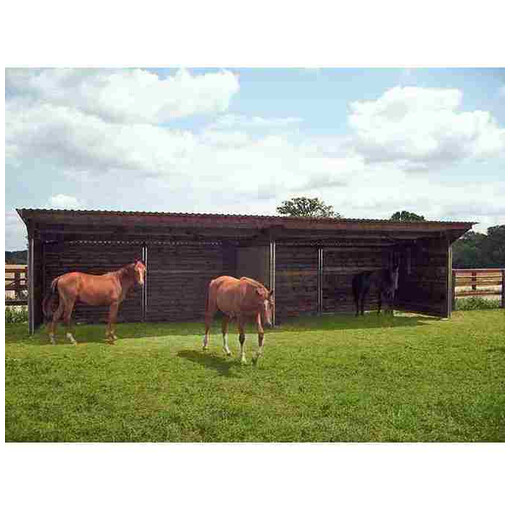 Grand abri pour chevaux avec séparation, vue de face, avec des chevaux à l'intérieur.