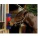 Brosse murale pour chevaux