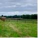 cloture pour chevaux en bande de polyéthylène noir hsw3 abrivert